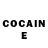 Cocaine Fish Scale Art Karapetian