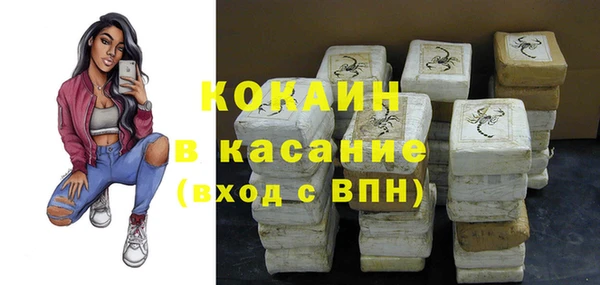 прущие грибы Бугульма