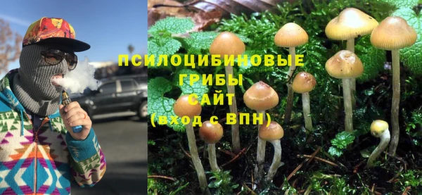 прущие грибы Бугульма