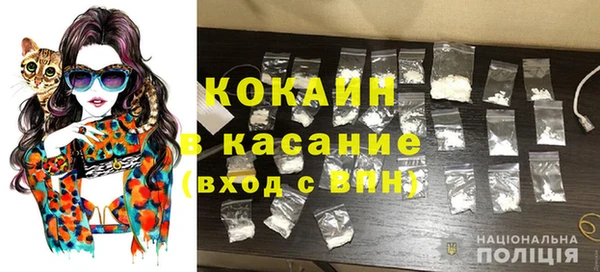 прущие грибы Бугульма