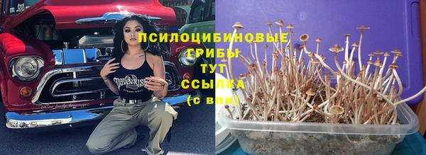 скорость Бородино