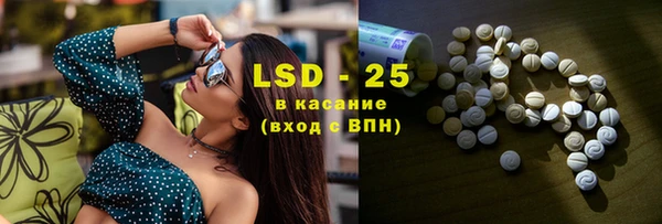 прущие грибы Бугульма